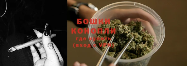 ГАЛЛЮЦИНОГЕННЫЕ ГРИБЫ Абдулино
