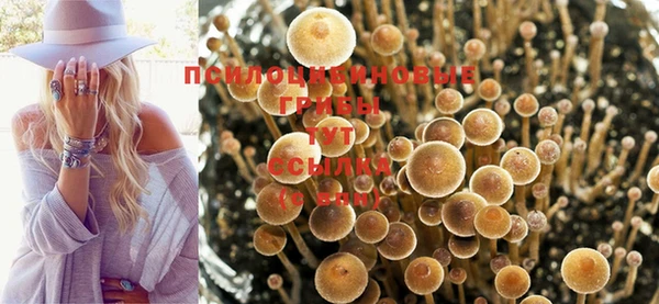 соль ск Абинск