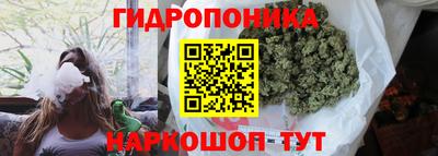 ALPHA PVP Новодвинск