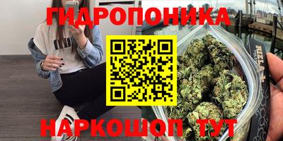 ALPHA PVP Новозыбков