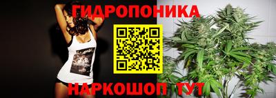 ALPHA PVP Новодвинск
