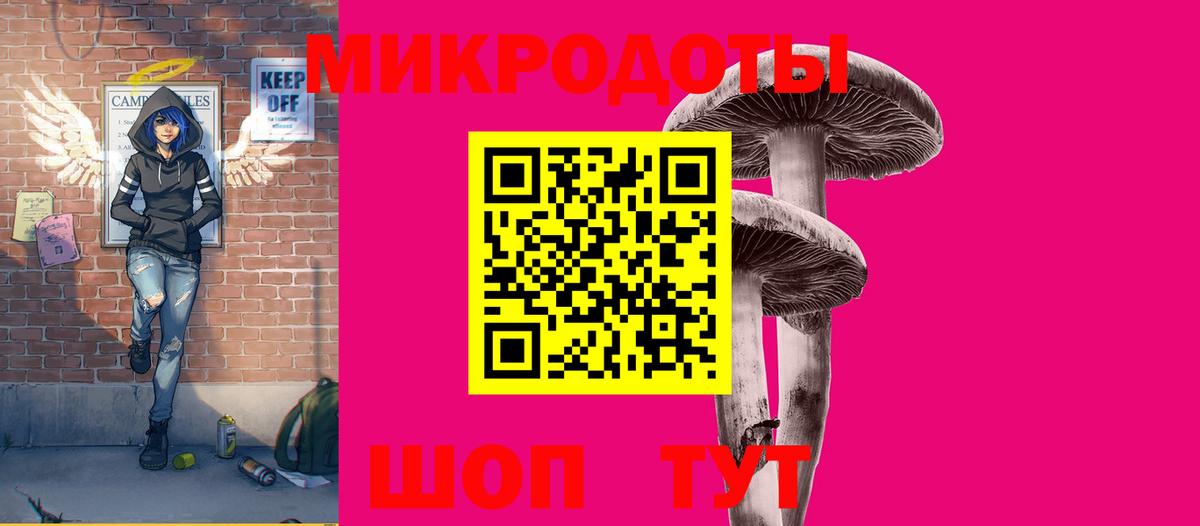 Новокузнецк  Псилоцибиновые грибы Psilocybine cubensis  Вход с VPN 