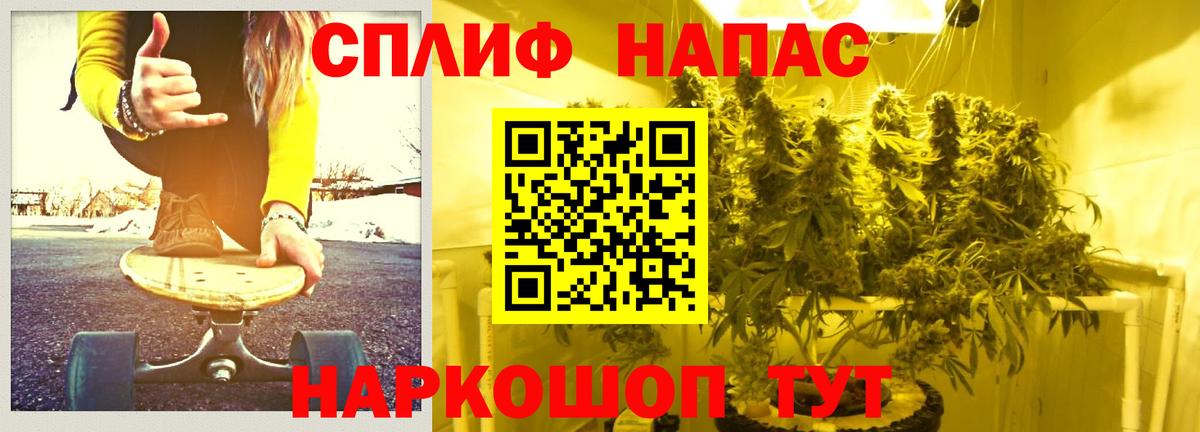 Шишки марихуана семена Новокузнецк